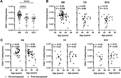 Impact of aging on the frequency, phenotype, and function of CD4+ T cells in the human female reproductive tract
